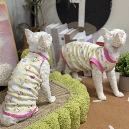 无毛猫衣服吊带背心kitty可爱