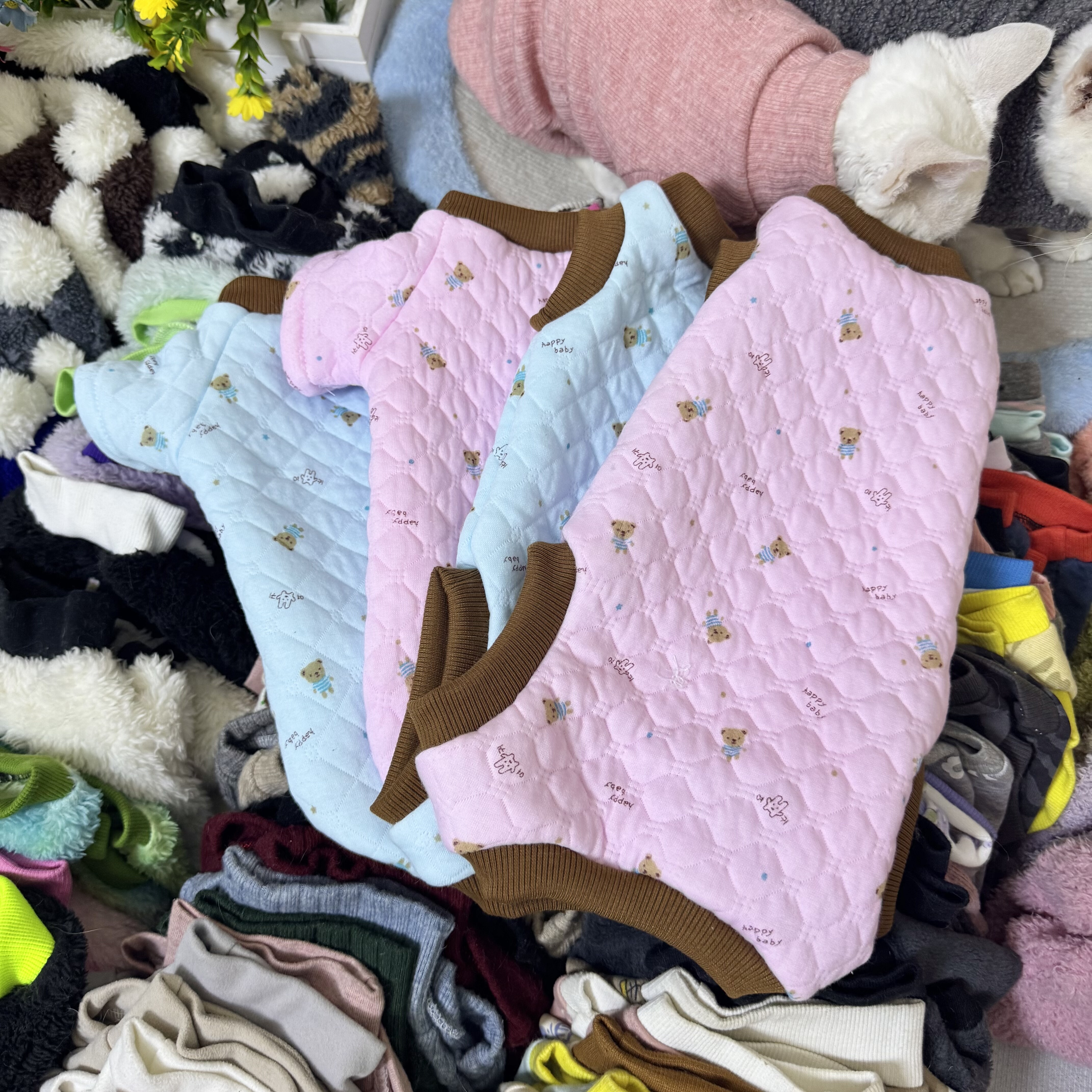 无毛猫衣服夹棉秋冬四脚保暖柔软加厚婴儿护肚斯芬克斯德文猫衣服