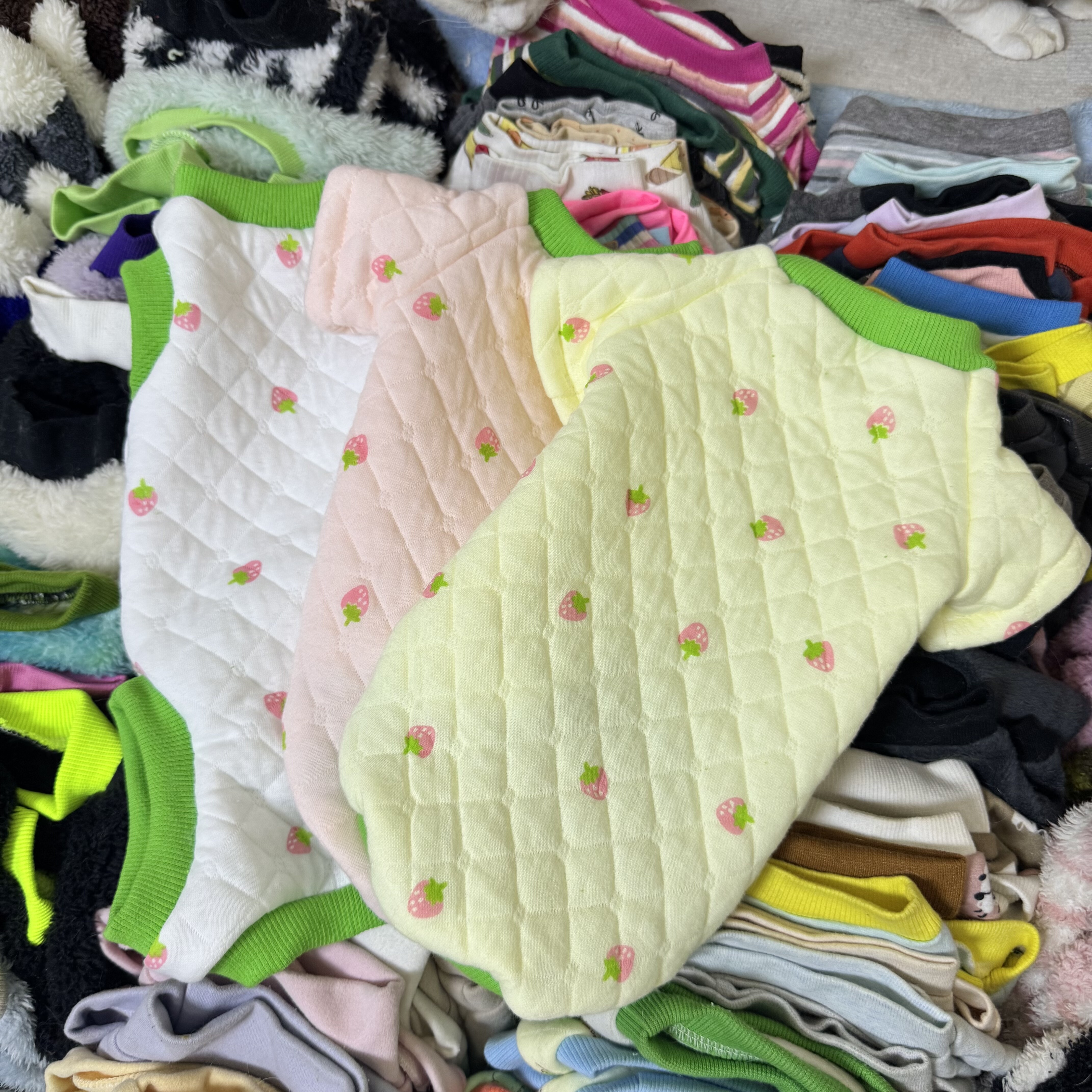 德文猫衣服夹棉秋冬四脚保暖柔软加厚婴儿护肚斯芬克斯无毛猫衣服