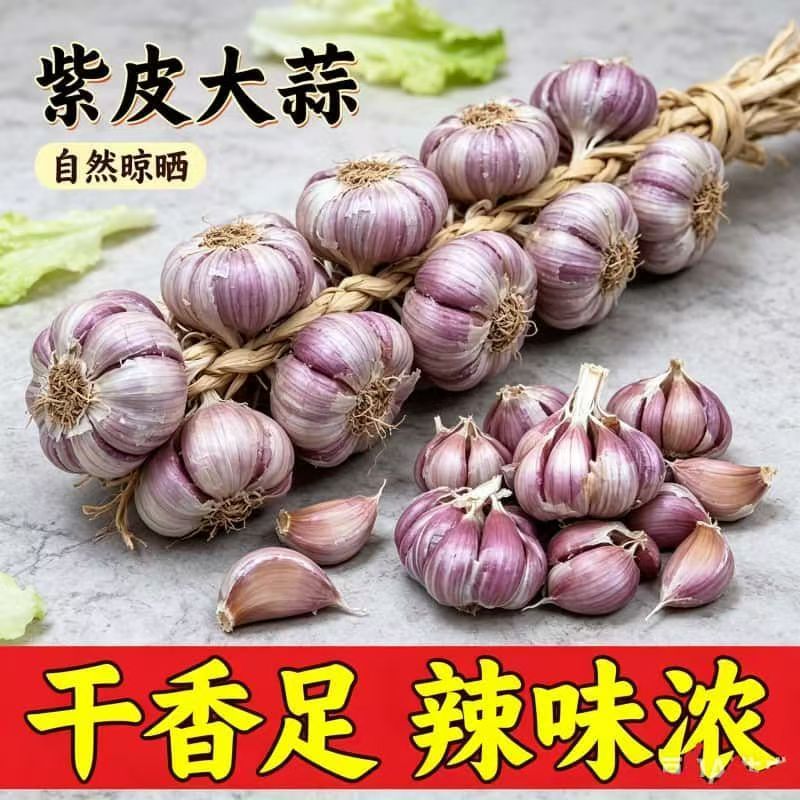 紫皮干蒜云南紫皮大蒜3斤5斤净重当季晒干瓣蒜红皮大蒜批发价