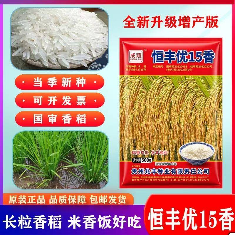 正品恒丰优15香优质稻种长粒香米浓香型高产一级水稻种子出米高
