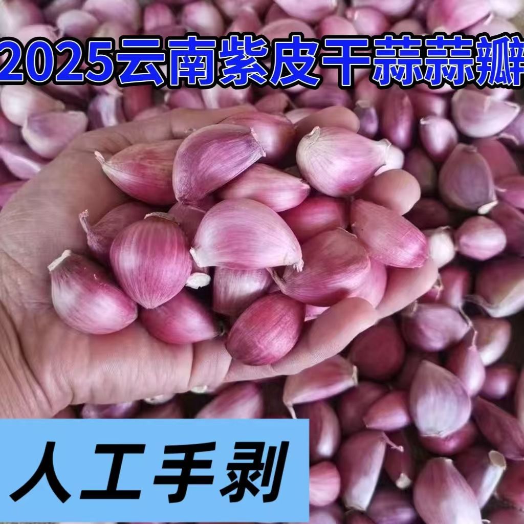 2025年云南紫皮蒜大理干
