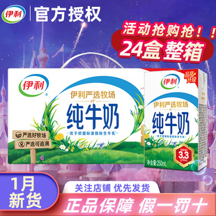 1月伊利纯牛奶24盒*250ML牛奶整箱批特价早餐奶纯奶官方旗舰店