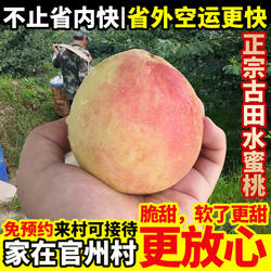 正宗古田水蜜桃白凤甜脆桃新鲜福建大桃子应季礼盒装!官州村直发