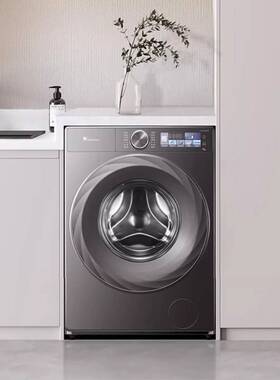 小.天鹅小乌梅2.0洗衣机12KG滚筒洗脱一体超薄全嵌TG120S83PRO