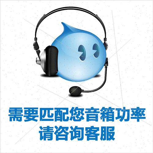 数字功放D类发烧hifi大功率KTV舞台演出会议纯后级家用功放机