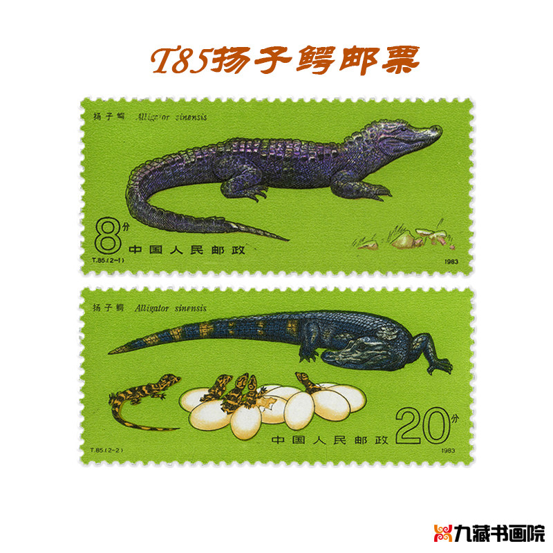 t85扬子鳄邮票 珍稀动物  大版张
