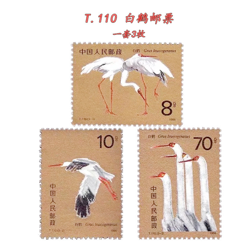 t110 白鹤邮票  小型张  野生动物 鸟类