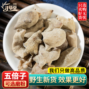 野生五倍子中药材500克/250/100g敏感外用另售蛇床子细辛五倍子粉