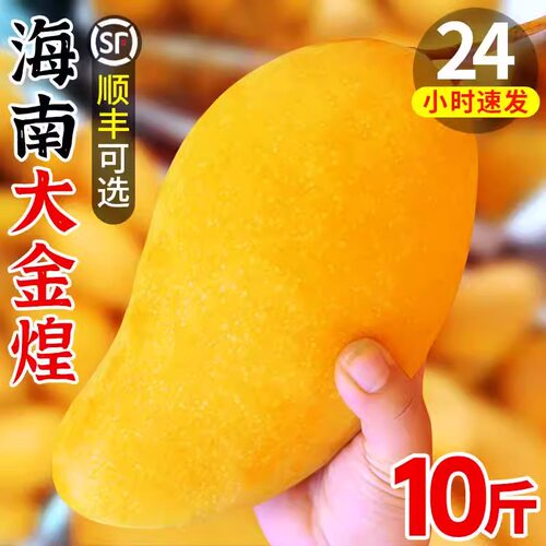 正宗海南新鲜多汁金煌芒