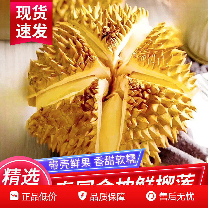 泰国进口金枕榴莲鲜果5斤带壳金枕手掌巴掌小榴莲新鲜孕妇水果3