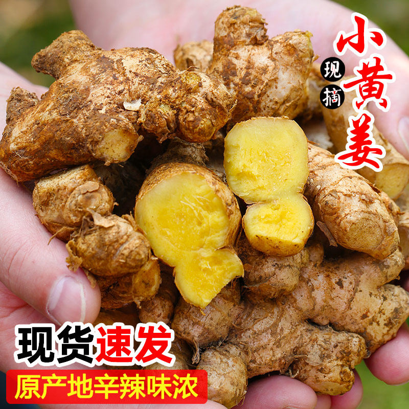 云南新姜小黄姜5斤新鲜生姜现挖沙姜小黄姜老姜土姜包邮月子姜10,水产肉类/新鲜蔬果/熟食,生姜/南姜,淘宝优惠券,粉丝福利购,淘宝优惠卷