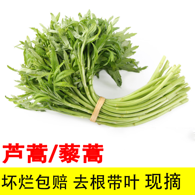 【带叶去根】芦蒿藜蒿现摘现发