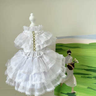 蓬蓬裙 婚纱款 AW春夏2023新款 狗狗猫咪泰迪比熊小型犬清纯洁白法式