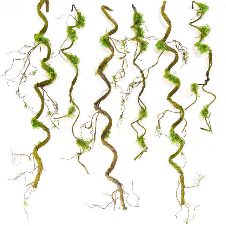 仿真枯树藤条干树藤弯曲造型假树枝装饰缠绕藤蔓植物装饰造景树枝,鲜花速递/花卉仿真/绿植园艺,仿真绿植,淘宝优惠券,粉丝福利购,淘宝优惠卷