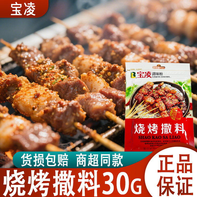 宝凌烧烤撒料30g袋装烧烤鸡排羊肉烤串油炸撒料火锅干碟调料家用