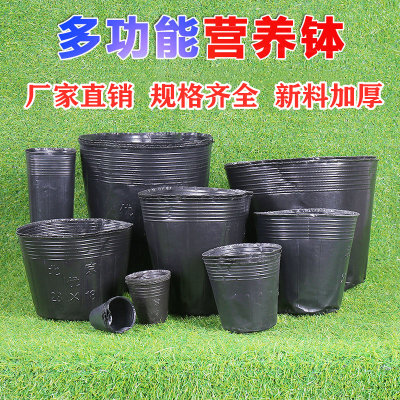 加厚营养钵育苗袋一次性塑料花盆育苗杯黑色果树育苗袋大号塑语苏