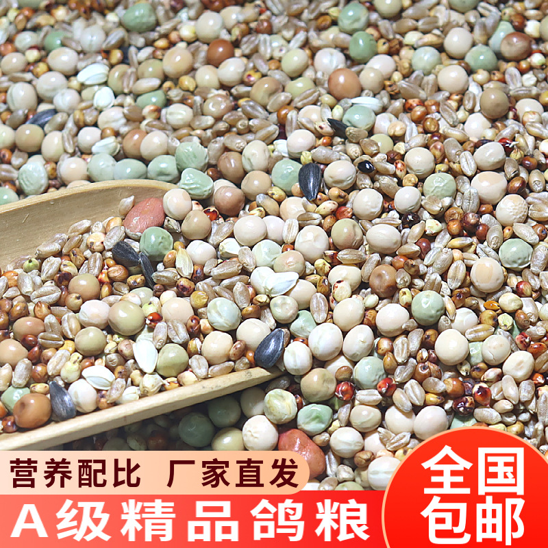 鸽粮有玉米无玉米鸟食饲料鸽子用品大全砂幼鸽成鸽观赏鸽