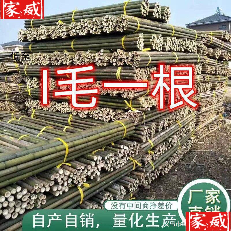 竹竿子搭架竹架子竹子杆菜园竹竿豆角黄瓜西红柿瓜果蔬菜爬藤包邮