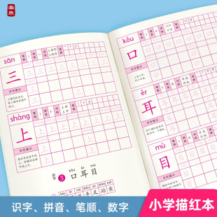 描红本小学生课业本一年级二年级识字表写字表练字本课本同步铅笔硬笔钢笔字帖数字拼音笔顺部首英文字母描红