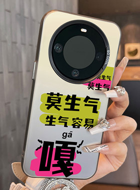 适用于realme真我GT5Pro手机壳莫生气嘎彩银新品男女款全包12proplus防摔高级感保护套磨砂简约真我11+