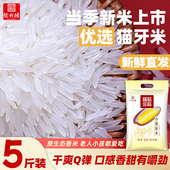 福稻运稻小银粘油粘米瑶山正宗猫牙米当季 新米煲仔饭炒饭长粒香米