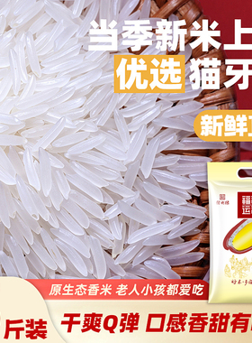 福稻运稻小银粘油粘米瑶山正宗猫牙米当季新米煲仔饭炒饭长粒香米