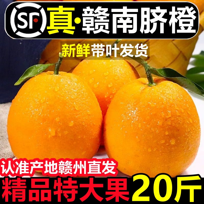 【带枝叶发货】正宗江西赣州赣南脐橙当季新鲜手剥甜橙子孕妇水果