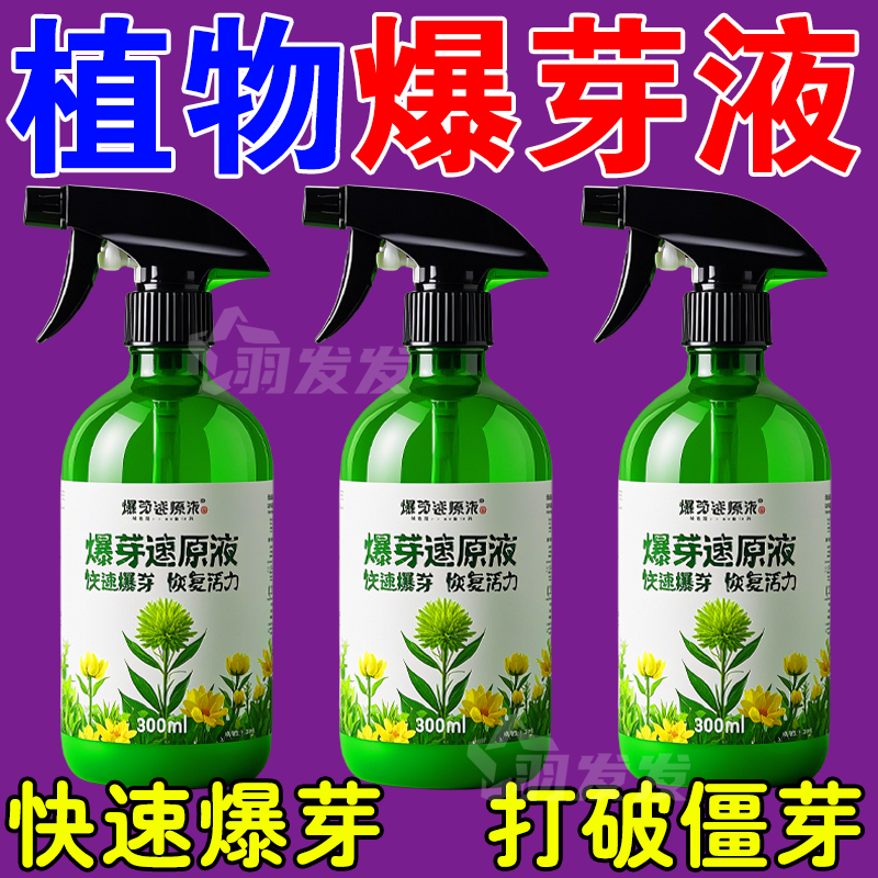 爆芽素多肉三角梅通用速爆新芽