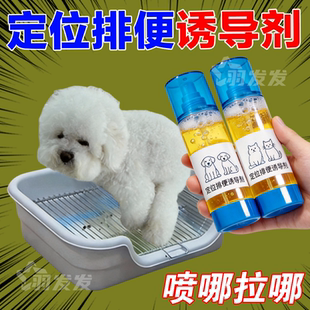 狗狗厕所定位诱导剂泰迪比熊定点排便尿垫不乱拉乱尿狗狗用品便携