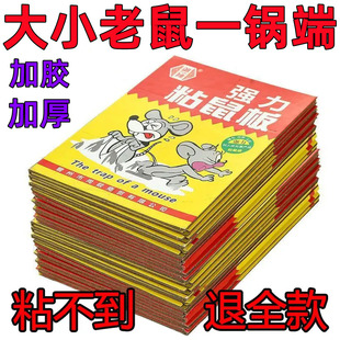 家用一窝端 超强力粘鼠板抓粘大老鼠贴驱胶药灭捕鼠神器克星正品