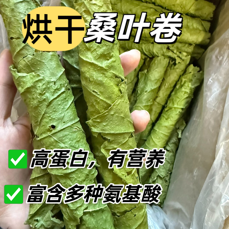 精选手摘桑叶卷兔兔磨牙神器补充蛋白质仓鼠荷兰猪零食高营养桑叶,宠物/宠物食品及用品,兔兔干草,淘宝优惠券,粉丝福利购,淘宝优惠卷