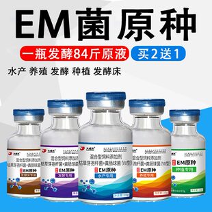 水产养殖高纯EM菌原种枯草芽孢杆菌稳定藻相鱼塘乳酸菌丁酸梭菌种
