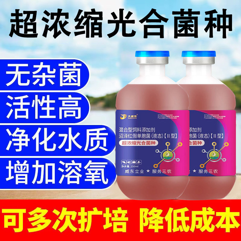 光合菌种净化水产养殖鱼虾蟹泥鳅低温水培降解氨降氨氮亚盐化氢