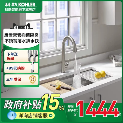 科勒水槽洗碗盆304不锈钢厨房日式大单槽多功能洗碗池厨盆23651T