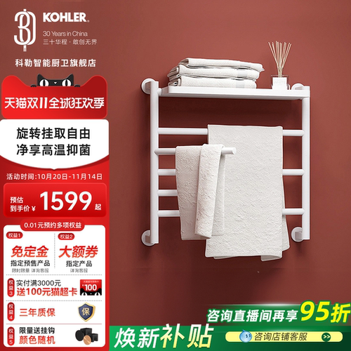 科勒旗舰店家用智能电热毛巾架