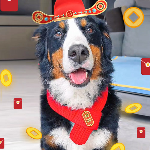 特大号宠物围巾保暖小猫小狗马年动物配饰宠物用品冬季时尚款围脖