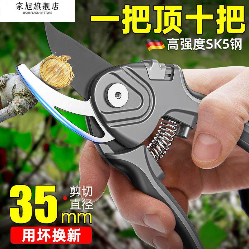 德国修枝剪绿化剪枝花卉草木果树园林专用修剪神器不锈钢篱笆剪刀图片