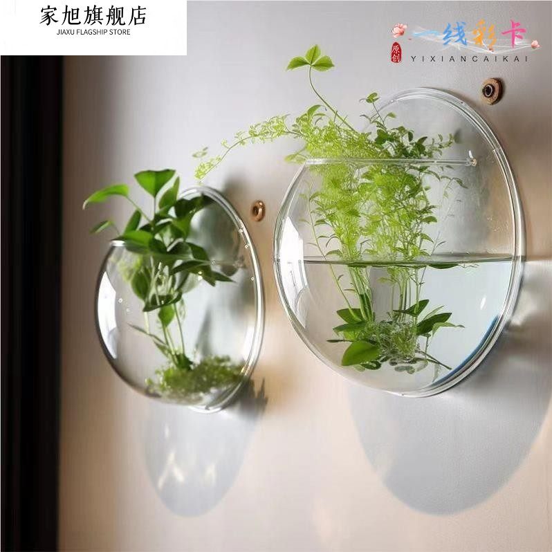 壁挂式挂墙透明花盆亚克力墙壁水培绿萝花瓶墙面装饰品客厅背景墙