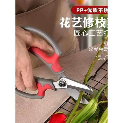 花艺剪剪花专用剪子园艺修枝剪花园花草插花树枝鲜花剪花枝剪刀