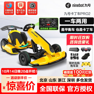 Ninebot九号儿童成人卡丁车平衡