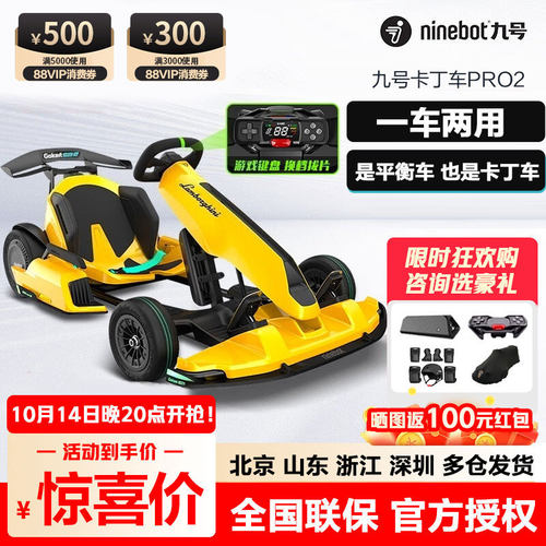 Ninebot九号儿童成人卡丁车平衡