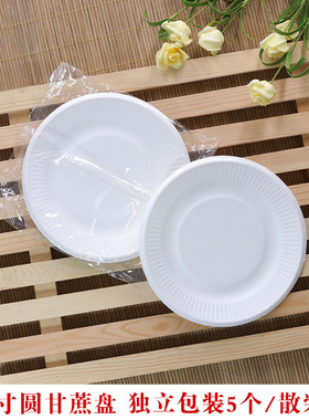 一次性生日蛋糕盘子加厚甘蔗长方碟手工制作纸碟圆碟餐盘白色纸盘