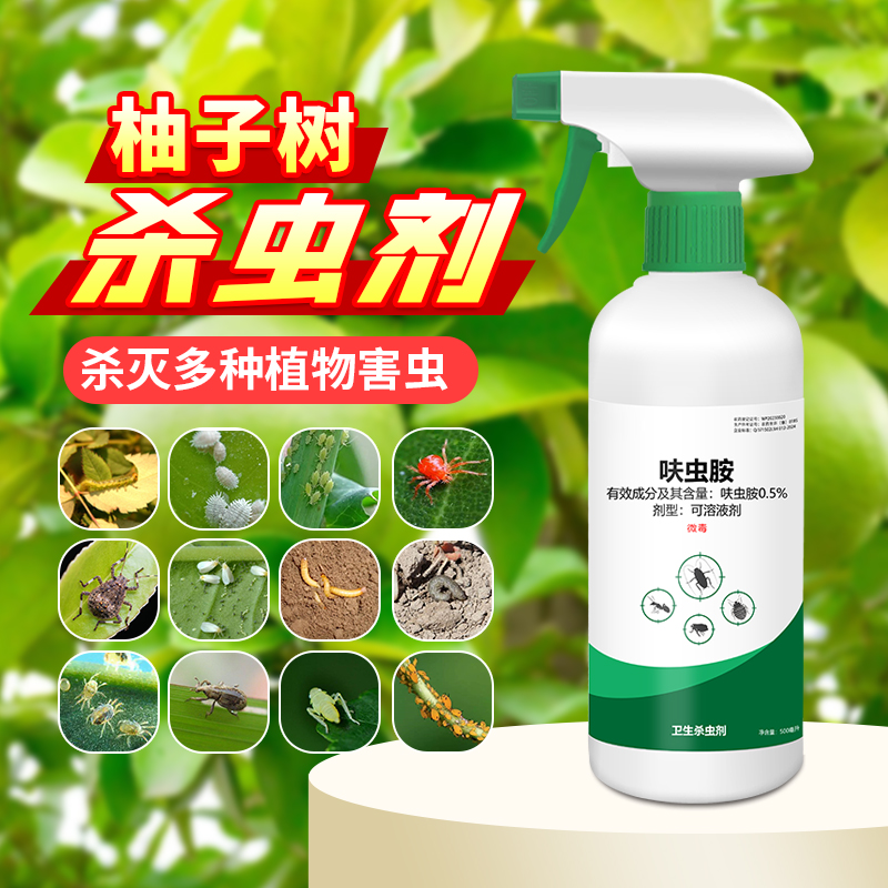 柚子树杀虫剂橘子桔子蚧壳虫介壳虫蚜虫白粉虱蓟马通用杀虫药