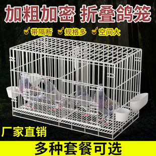 新型鸽子笼可自动喂水多层家养专业12位养殖繁殖鸽笼大号直销鸡笼