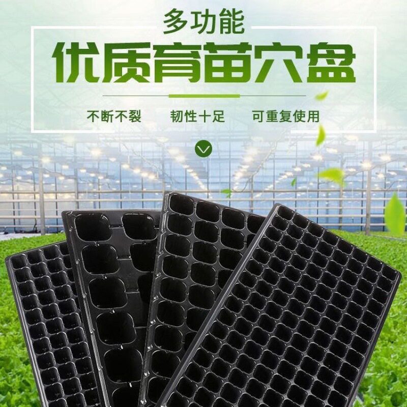 育苗穴盘育苗盘蔬菜多肉叶插盘花卉扦插盘秧苗盘莓育苗盘长方形
