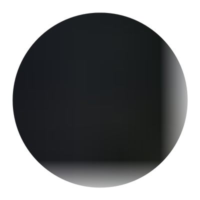 特大嫁接冬枣南北方种植树苗