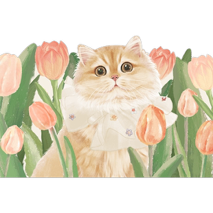 花卉动物入户门地垫丝圈门垫进门脚垫玄关家用门内门外防滑垫卡通