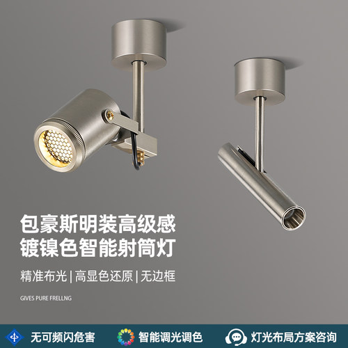 包豪斯明装射灯镍色射灯工业风