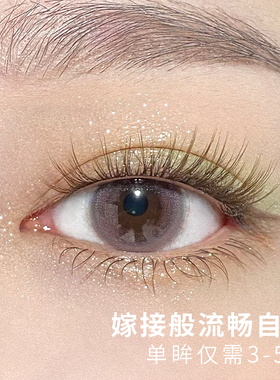 Dark Swan睫毛 Mocha摩卡咖 棕色分段式新手自己嫁接睫毛